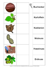 AB-Zuordnung-Wörter-Herbst-2.pdf